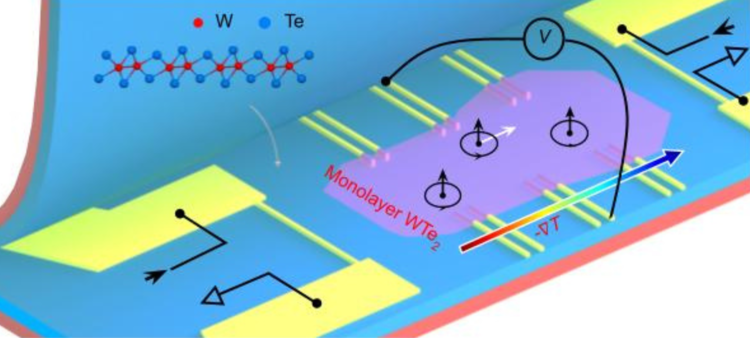 ‘Sudden Death’ of Quantum Fluctuations Defies Current Theories of Superconductivity