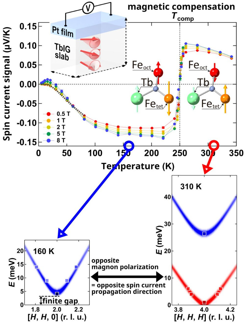 Unlocking Spin Current Secrets: A New Milestone in Spintronics