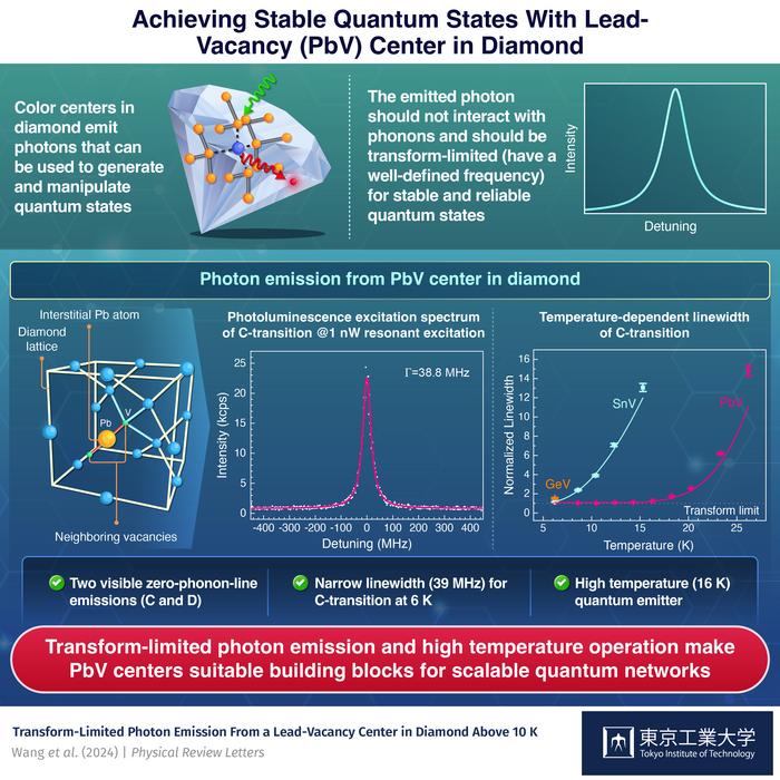 Lead-Vacancy Centers in Diamond as Building Blocks for Large-Scale Quantum Networks