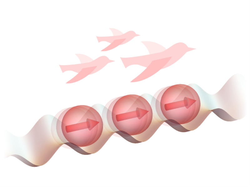 Activity-Induced Ferromagnetism in One-Dimensional Quantum Many-Body Systems