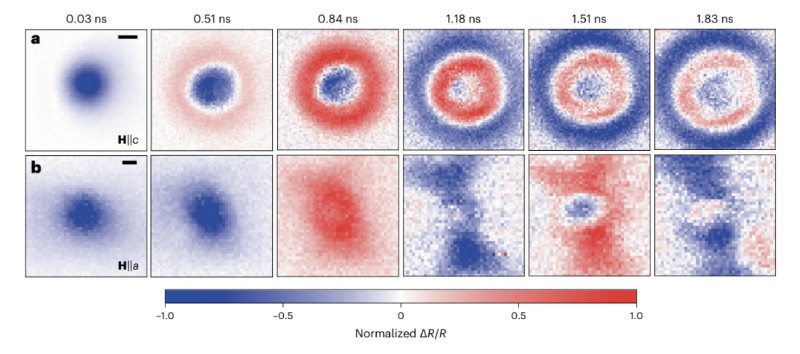 Scientists Demonstrate the Potential of Electron Spin to Transmit Quantum Information