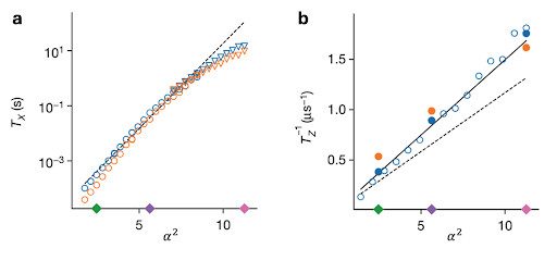 Bit-Flips No More: The Magic of Cat Qubits in Quantum Computing