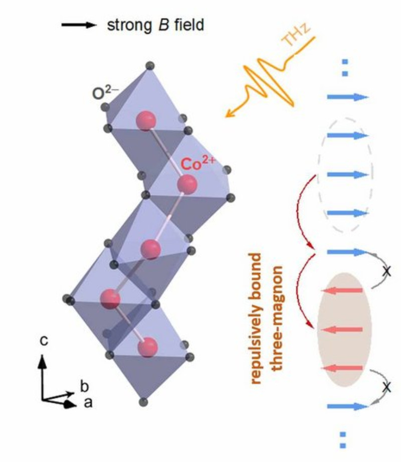 Magnetic Excitations Can Be Held Together by Repulsive Interactions