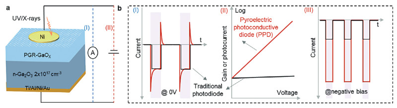 Novel Design for Highly Sensitive, Fast High-Energy Photon Detector