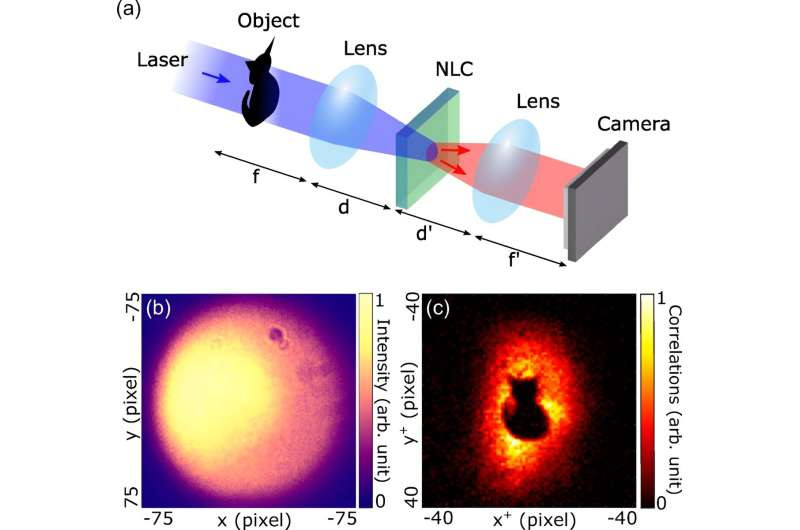 Entangled Photon Pairs Enable Hidden Image Encoding