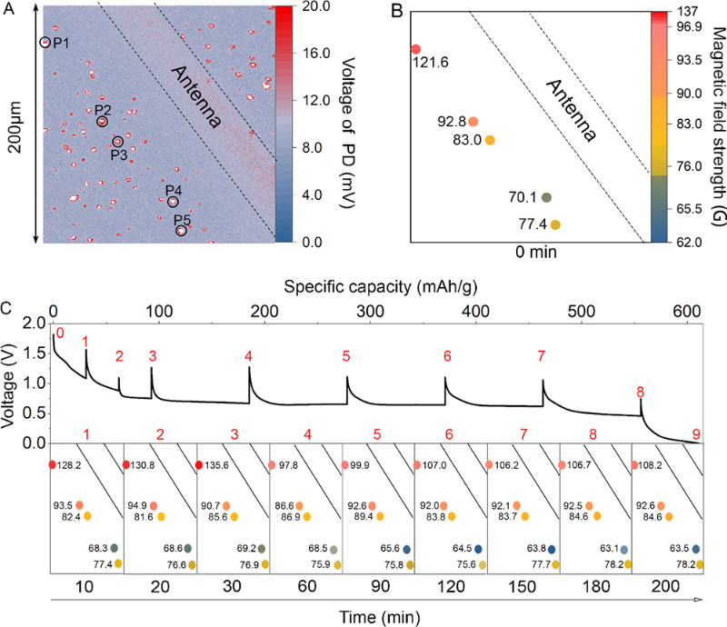 Operando Quantum Sensing Captures Nanoscale Electrochemical Evolution in Battery