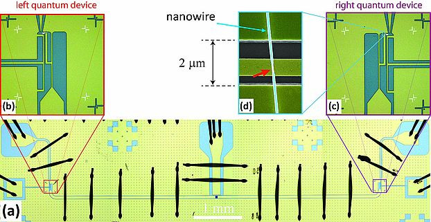 Strong Coupling Between Andreev Qubits Mediated by a Microwave Resonator