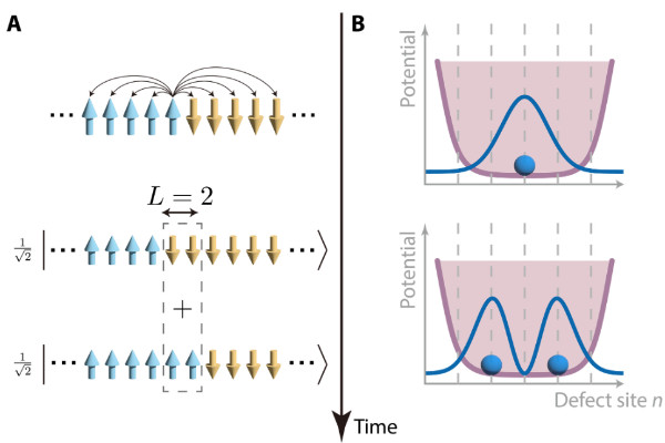 Tsinghua Researchers Observe Quantum Superposition of Topological Defects in an Ion Trap Quantum Simulator for the First Time