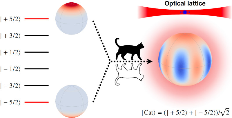 Long-Lived Schrödinger-Cat State Achieves Heisenberg-Limited Sensitivity