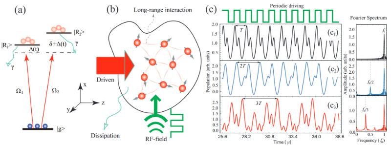 USTC Observes Higher-Order and Fractional DTCs in Floquet-Driven Rydberg Atomic Gases