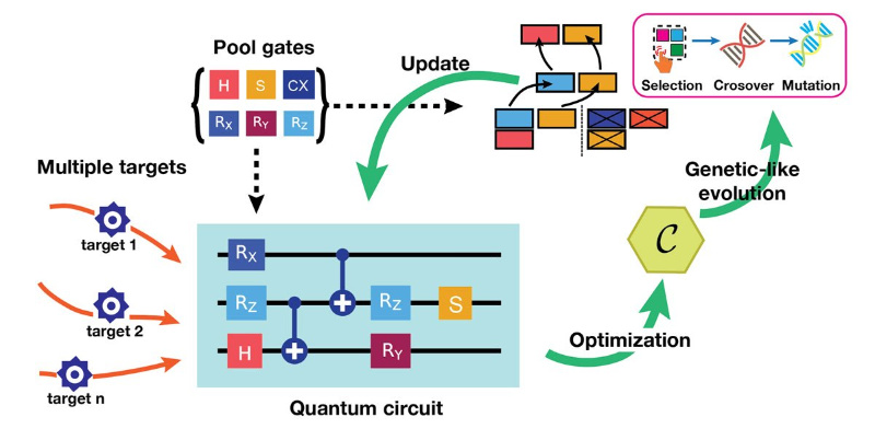 New Algorithm Boosts Multitasking in Quantum Machine Learning