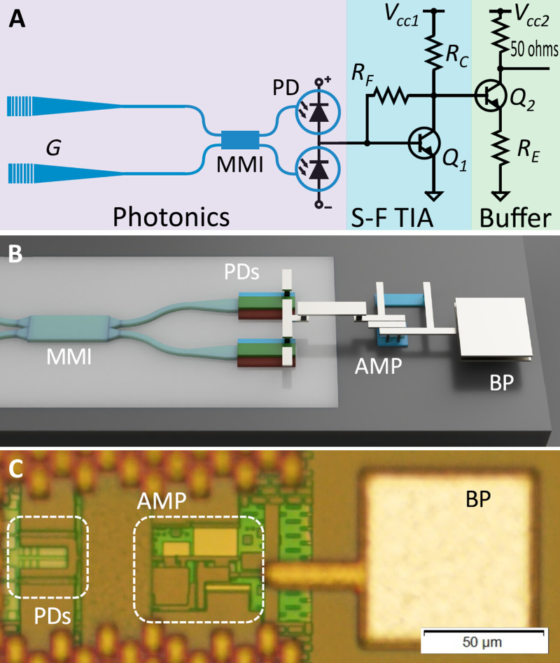 University of Bristol Researchers Develop World’s Smallest Quantum Light Detector on a Silicon Chip