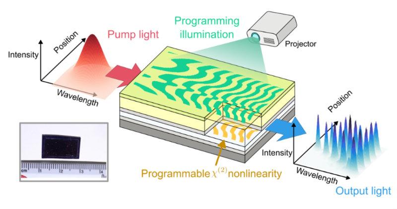 NTT Research Collaboration Breaks the “One Device, One Function” Paradigm With World’s First Programmable Nonlinear Photonics Chip
