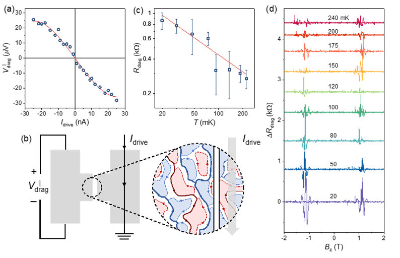 Topological Breakthrough: Non-Reciprocal Coulomb Drag in Chern Insulators
