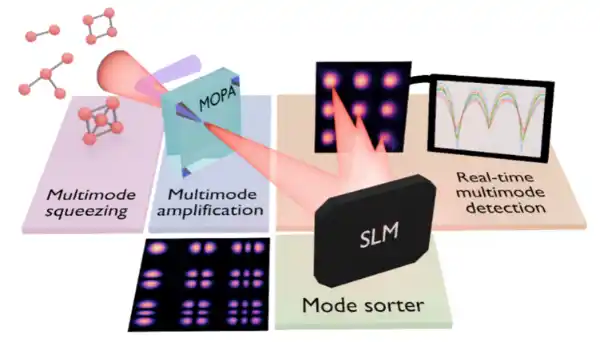 Quantum Properties of Multimode Light Observed Despite Extreme Losses