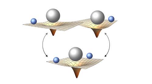 A New Theoretical Framework to Identify What Quantum Gravity Would Look Like