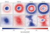 Scientists Demonstrate the Potential of Electron Spin to Transmit Quantum Information