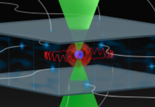 Milestone in Quantum Simulation With Circular Rydberg Qubits