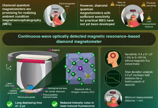 Scientists Have Developed a New Diamond Quantum Magnetometer That Enables MEG Under Practical Ambient Conditions