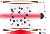 USTC Observes Magnetic Amplification Using Dark Spins