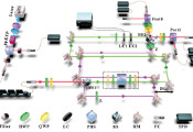 USTC Realizes Time Reversal through Input-Output Indefiniteness