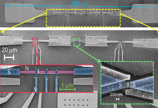 A World First: Qubit Coherence Decay Traced to Thermal Dissipation