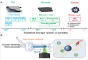 Operando Quantum Sensing Captures Nanoscale Electrochemical Evolution in Battery