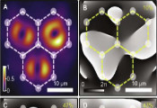 Spontaneous Order Amongst Vortices