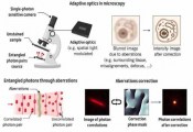 Quantum Imaging Could Create Bright Future for Advanced Microscopes