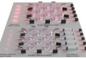 New Classical Algorithm Enhances Understanding of Quantum Computing’s Future