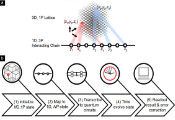 Topological Quantum Simulation Unlocks New Potential in Quantum Computers