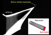 Purdue Researchers Create Orientation-Independent Magnetic Field-Sensing Nanotube Spin Qubits