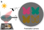 KAIST Develops Janus-Like Metasurface Technology That Acts According to the Direction of Light