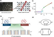 Physicists Uncover Universal Non-Equilibrium Quantum Dynamics in Randomly Interacting Spin Models