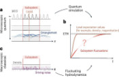 Fluctuating Hydrodynamics Theory Could Describe Chaotic Many-Body Systems, Study Suggests