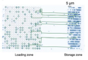 Planqc-Led Researchers Achieve Continuous Operation of 1,200-Atom Array