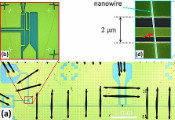 Strong Coupling Between Andreev Qubits Mediated by a Microwave Resonator