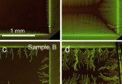 SQMS Scientists Gain Insight Into the Material Defects That Cause Errors in Quantum Computing