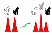 A Physical Qubit With Built-In Error Correction