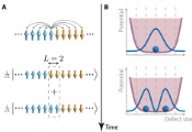 Tsinghua Researchers Observe Quantum Superposition of Topological Defects in an Ion Trap Quantum Simulator for the First Time