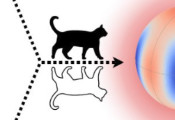 Long-Lived Schrödinger-Cat State Achieves Heisenberg-Limited Sensitivity