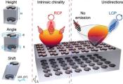 Designing a Spiral Ladder-Inspired Tool That Allows Precision Control of Light Direction and Polarization