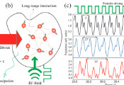 USTC Observes Higher-Order and Fractional DTCs in Floquet-Driven Rydberg Atomic Gases