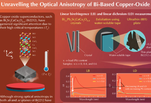 Towards Room-Temperature Superconductivity: Insights Into Optical Properties of Bi-Based Copper-Oxide Superconductors