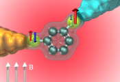 From Waste Heat to Quantum Innovation: Advancing Spintronics