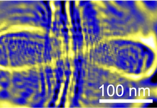 Physics Experiment Proves Patterns in Chaos in Peculiar Quantum Realm