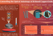 Towards Room-Temperature Superconductivity: Insights Into Optical Properties of Bi-Based Copper-Oxide Superconductors