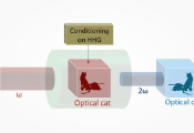 Introducing Coherent State Superpositions in Non-Linear Optics