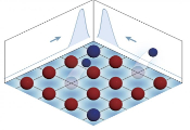 HKUST-Led Research Pioneers Simulation of Non-Hermitian Skin Effect in 2D With Ultracold Fermions