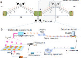 Leap in Quantum Physics Made Prof. Yunfei Pu and Prof. Luming Duan’s Group